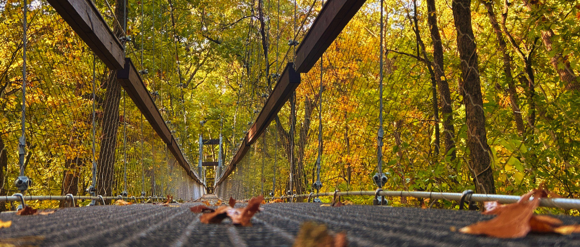 Reach For The Sky Canopy Walk in Tipton, Michigan (photo courtesy of Hidden Lake Gardens) Reach For The Sky Canopy Walk in Tipton, Michigan (photo courtesy of Hidden Lake Gardens)