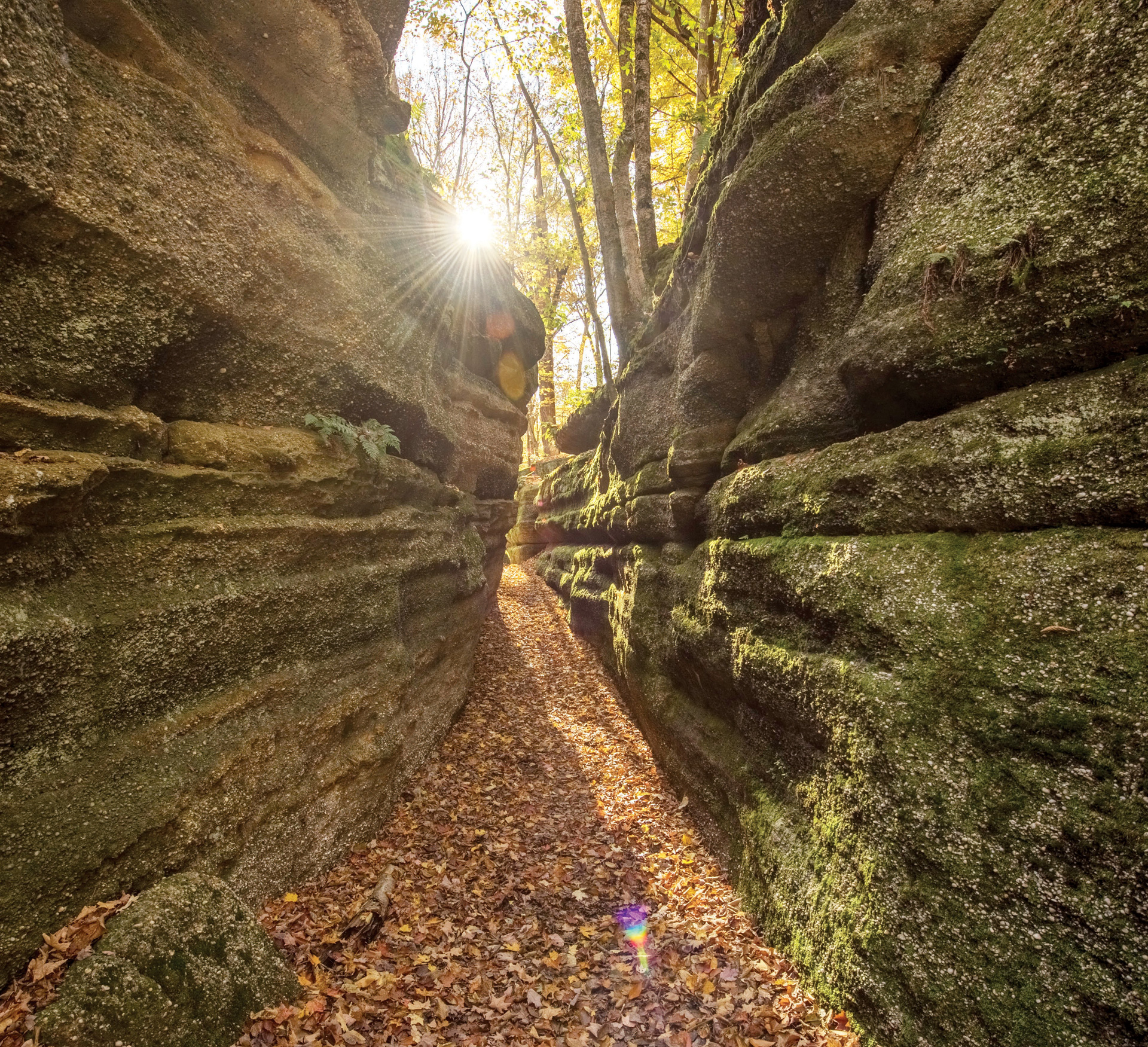 Nelson-Kennedy Ledges State Park in Garrettsville, Ohio (photo courtesy of Ohio Department of Natural Resources) Nelson-Kennedy Ledges State Park in Garrettsville, Ohio (photo courtesy of Ohio Department of Natural Resources)