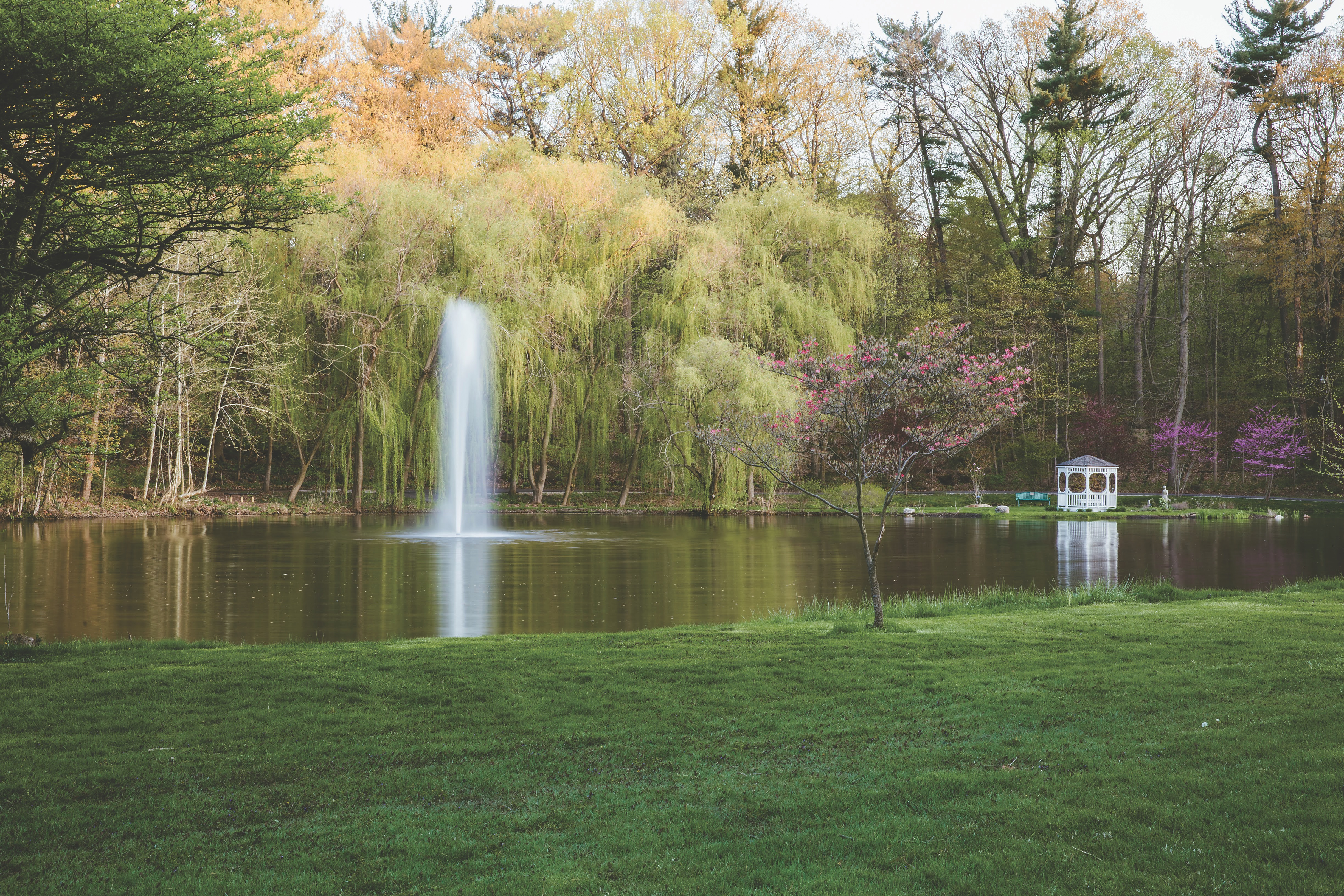 Pond with fountain and willow trees at Friendship Botanic Gardens in Michigan City, Indiana (photo courtesy of Friendship Botanic Gardens) Pond with fountain and willow trees at Friendship Botanic Gardens in Michigan City, Indiana (photo courtesy of Friendship Botanic Gardens)