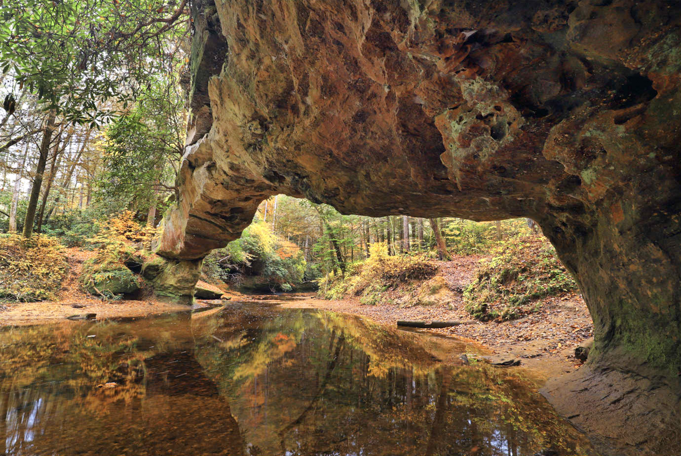 Red River Gorge Geological Area (photo by Bill Fultz) Red River Gorge Geological Area (photo by Bill Fultz)