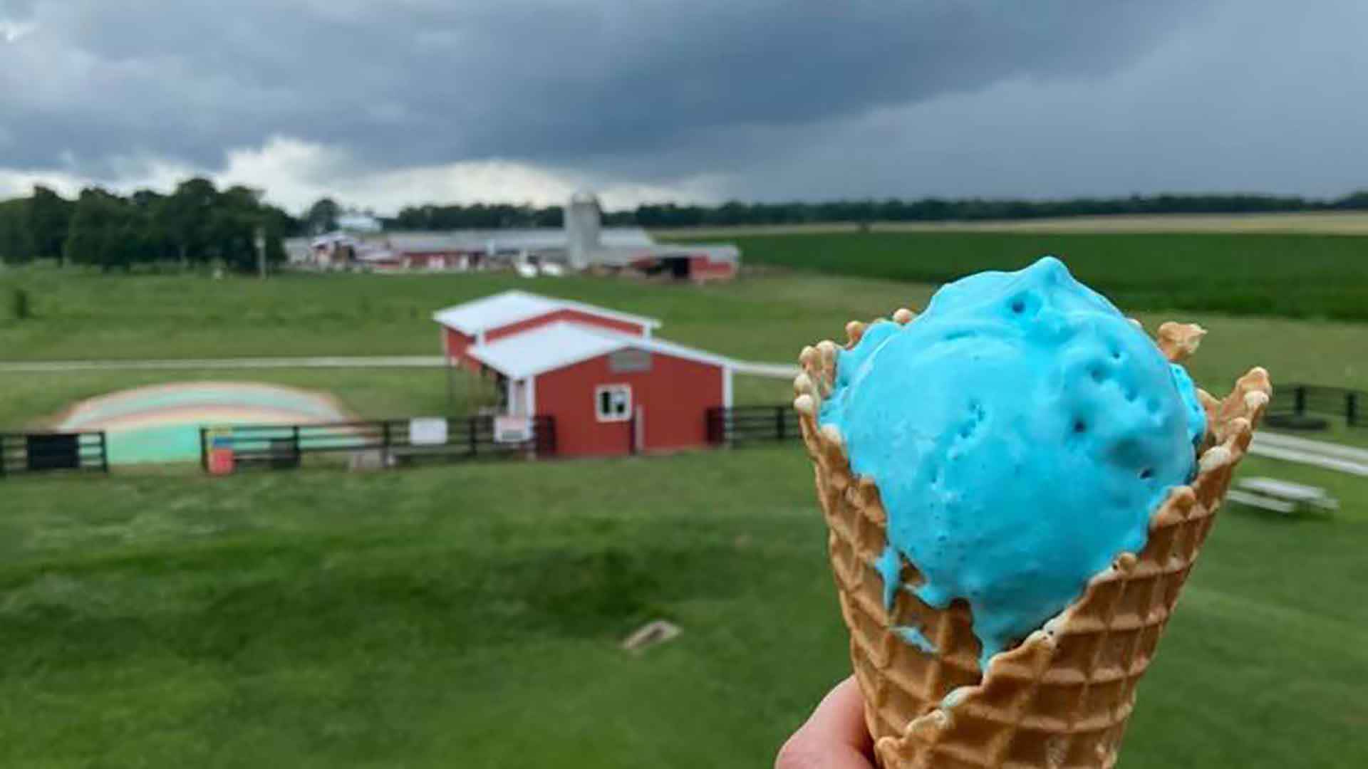 Chaney S Dairy Barn (1)